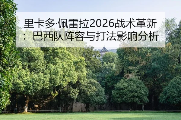 li-ka-duo-pei-lei-la-zhan-shu-ge-xin-ba-xi-dui-zhen-rong-yu-da-fa-ying-xiang-fen-xi-2-616.jpg